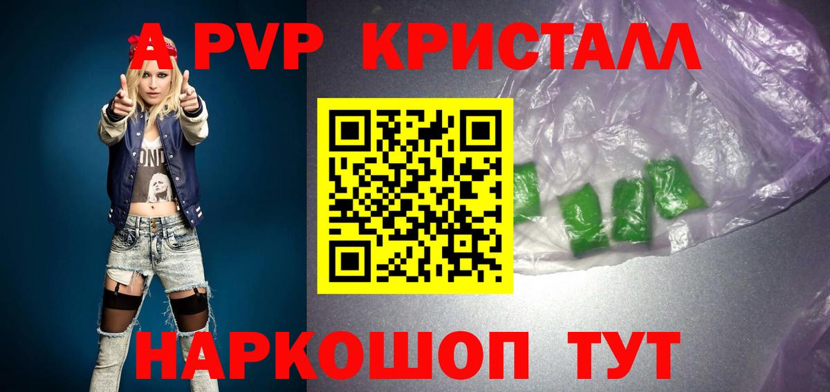 Альфа ПВП СК Майкоп
