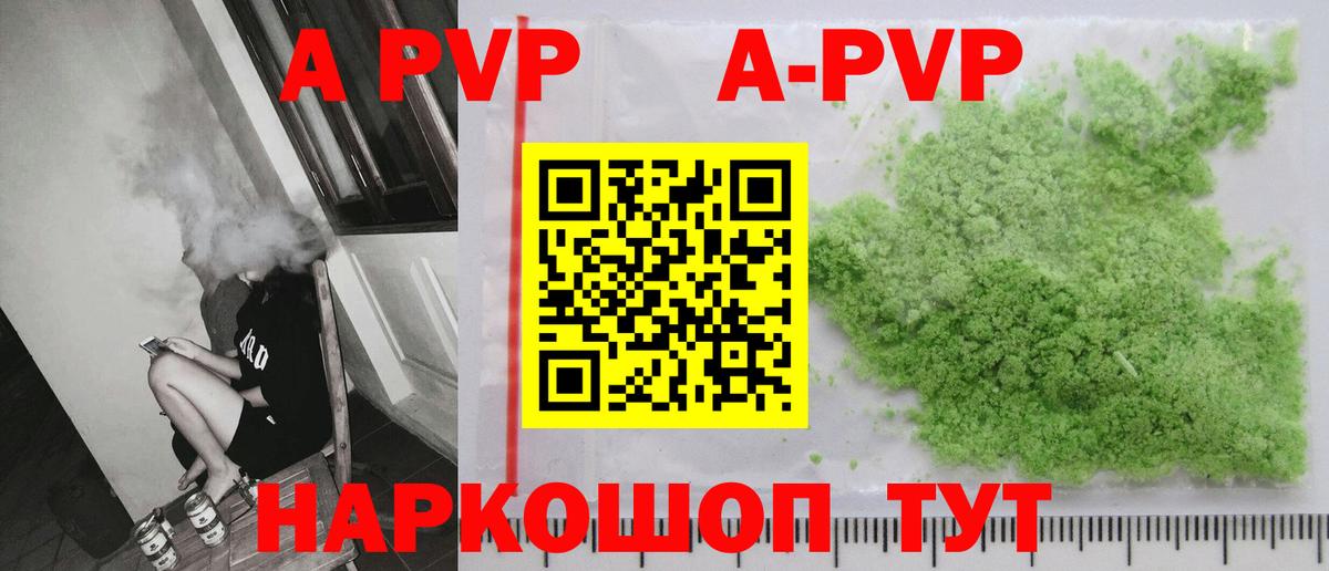 Альфа ПВП СК КРИС  A-PVP СК  Майкоп  Вход с VPN  A-PVP СК 