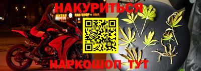 шишки Шелехов