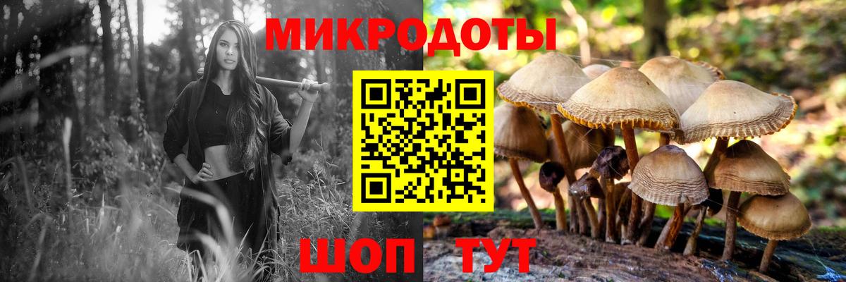Псилоцибиновые грибы Psilocybe  Псилоцибиновые грибы ЛСД  Вход с VPN  Майкоп 